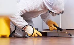 Best Termite Inspection and Treatment  in Cedar Hill, MO